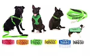 Warning Dog Colour Coded Collar Lead Leash Harness Friendly Blind Sizes & Styles - Picture 1 of 33