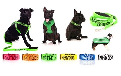 Warning Dog Colour Coded Collar Lead Leash Harness Friendly Blind Sizes & Styles - Image 1 of 4