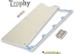Massive Valley Plate Cover LS1 LSX Camaro Corvette Firebird 5.7 Gen III Solid PR - Picture 1 of 4