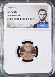 2025 D Lincoln Cent Graded NGC MS-66 w/ Abraham Lincoln Special Label - Picture 1 of 2