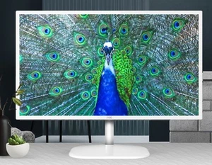 AOC 31.5' IPS Panel 4ms 2K QHD 2560x1440, HDMI, DP, 75Hz, 3-sided Narrow Frame, - Picture 1 of 4