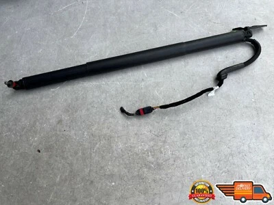 VOLKSWAGEN TIGUAN 2018-2020 PUERTA TRASERA PUERTA LEVADIZA ELEVACIÓN ELÉCTRICA IZQUIERDA PUNTAL AMORTIGUADOR FABRICANTE DE EQUIPOS ORIGINALES 18 Foto 1 de 4