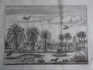 JOHANNES KIP. CHURCHILL VOYAGES TRAVELS. COASTAL SCENE. PALMS. BIRDS. ANIMALS - Picture 1 of 3