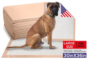 100 SUPER MAX ABSORBENCY 30 x 36 EXTRA LARGE Dog Puppy Training Wee Wee Pee Pads - Picture 1 of 8