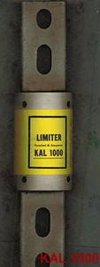 NEU BUSS KAL LIMITER SICHERUNG KAL 1000 KAL1000 (NEU IM KARTON) - Bild 1 von 2