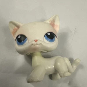 Authentic 2004 Littlest Pet Shop #64 Shorthair Cat Original Hasbro LPS Rare C18 - Bild 1 von 13