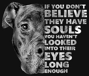 Camiseta I Love Pit Bull Dog Iron On Transfer + Otras telas claras y oscuras #11 - Imagen 1 de 2