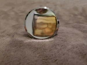 VINTAGE SILVER MIRRORED KNOB - NEW OLD STOCK - Picture 1 of 5