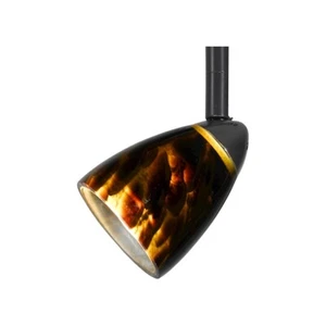 Cal Lighting Serpentine 1 Light Track Head, Black/BRNS - HT-954-BK-BRNS - Picture 1 of 1