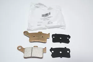 Nuevo kit de pastillas de freno traseras Can-Am Spyder Roadster OEM RS, RT 219800239 envío GRATIS - Imagen 1 de 4