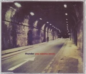 Thunder You Wanna Know CD UK Eagle 1999 radio edit b/w montana mountain woman - Bild 1 von 1