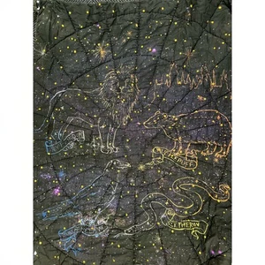Pottery Barn Teen Harry Potter Astrology Constellation Quilt Comforter Twin - Picture 1 of 9