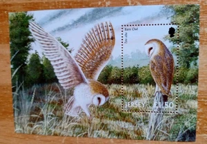 Jersey Mint Sheet. Barn Owls In The Landscape. One About To Land. One On A Tree. - Picture 1 of 1