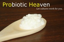 Organic Milk Kefir Grains / Live Probiotic Culture 3 Tspn