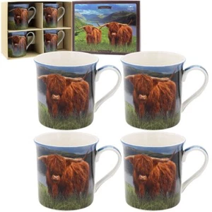 Highland Cows Collection Fine China Mug Gift Set - 4 Mugs NEW - Picture 1 of 1