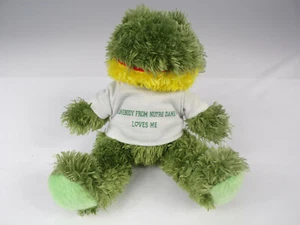Vintage St Patrick Day Irish Notre Dame Stuffed Animal Green Fuzzy Glass Eyes  - Picture 1 of 9