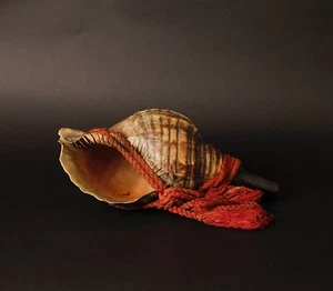 Stunning Horagai Conch shell trumpet 19Century ZE59 - Picture 1 of 14