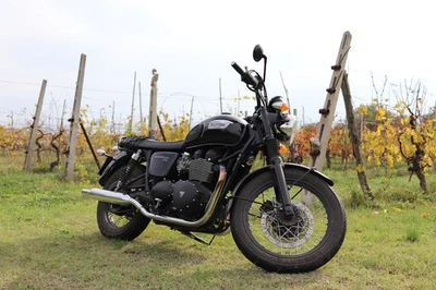 Triumph Bonneville T100 Black - Immagine 1 di 4