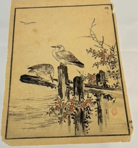 Vintage Japanese Woodblock Print Kono Bairei from Album of 100 Birds c. 1881 - Picture 1 of 2