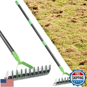 Thatch Rake, 2-in-1 Garden Dethatcher Rakes for Lawns Heavy Duty, 53" Metal R - Picture 1 of 5