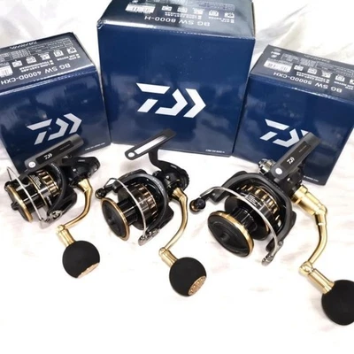 Carrete giratorio DAIWA 23 BG serie SW 4000/5000/6000/8000/10000/14000/18000 JAPÓN Foto 1 de 4
