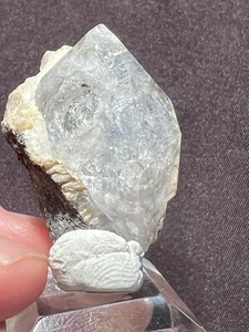 Quartz, Var. Herkimer, Middleville, NY - Picture 1 of 6