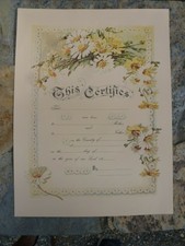 Vintage Blank Birth Certificate  13 1/2" X 18"