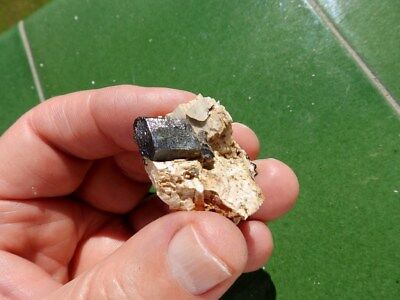 Minerales  Bonito Y Perfecto Granate Negro Matriz De Ortosa Marruecos- 10a17   • 5.08€