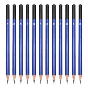 12PCS 3B Drawing Pencils Pre-Sharpened Graphite for Artists Sketching & Art - Picture 1 of 6