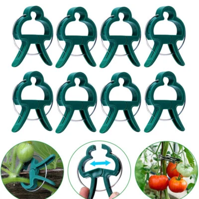 CLIPS GRANDES PARA PLANTAS Y JARDINES 10 PIEZAS Soporte Tomate Vegetal Enrejado Cordel Corbatas Foto 1 de 4