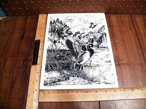 1991 MONTANA MARBLE Etched Slab - WILDLIFE Mallard Ducks By Dave Maloney - Imagen 1 de 4