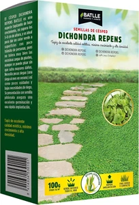 Dichondra Repens - Foto 1 di 12