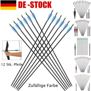 12 Stk. Carbonpfeile 30" Pfeilschaft Carbonpfeil Recurvebogen Sportbo Spine 550 - Bild 1 von 24