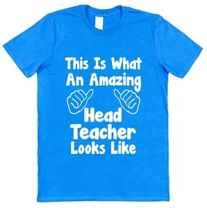 Amazing Head Teacher T-Shirt End of Term Gift School Present Appreciation Master - Picture 1 of 3