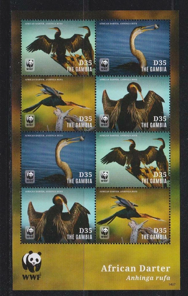 GAMBIA 2014 BIRD STAMPS AFRICAN DARTER  WWF SS MNH - BIRDL581 - Image 1 of 1