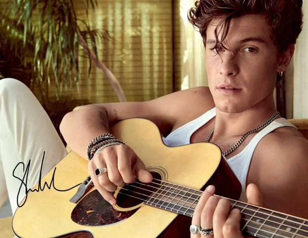 SHAWN MENDES SIGNED AUTOGRAPHED REPRINT 8X10 11X17 13X19 COLOR POSTER PHOTO CD - Image 1 of 1