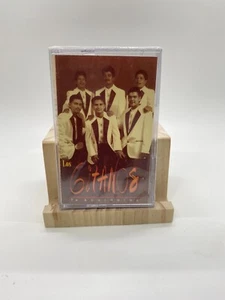 LOS GITANOS - TE ACORDARAS - JOEY 3467 - CASSETTE TAPE - Imagen 1 de 3