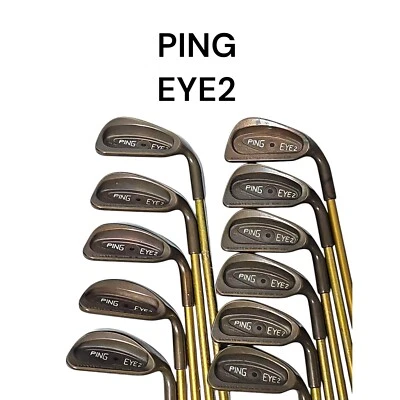 [PING] EYE2 Beryllium Copper Iron Set 11pcs 2-3-4-5-6-7-8-9+P+L+S ALDILA HM-40 R - Image 1 of 4