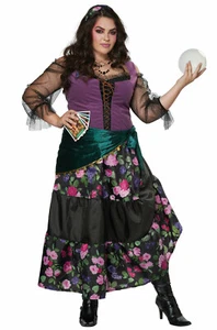 Brand New Mystical Charmer Gypsy Fortune Teller Plus Size Costume - Picture 1 of 1