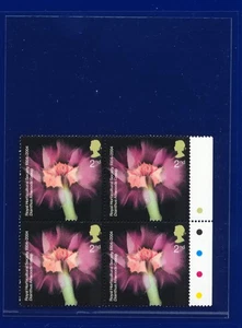 2004 SG2456 2nd R.H.S. 1. Ausgabe Dianthus Ampelblock (4) postfrisch pohv - Bild 1 von 2