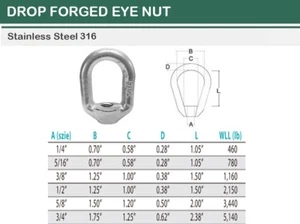 SS T316 Forged Style Lifting Eye Nut 1/4", 5/16", 3/8", 1/2", 5/8", 3/4" - Picture 1 of 10