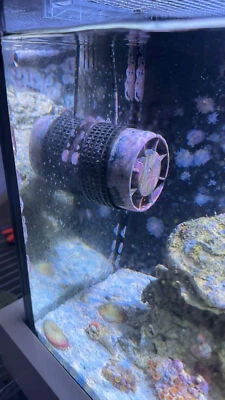 UNDISCLOSED AI Nero 5 Nem Guard