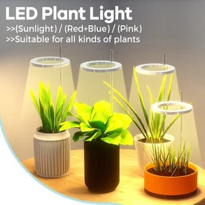 LED Grow Light USB 5V Vollspektrum dimmbar Lampe mit Timer für Pflanzen & Sukkulen - Bild 1 von 23