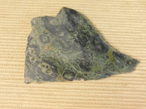 Stromatolite Slab Fossil- from Africa for cabs - Picture 1 of 7