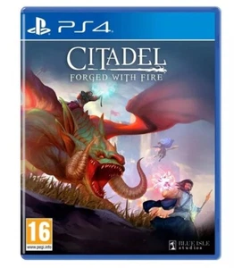 Citadel: Forged with Fire - Sony Playstation 4 Game PS4 - Bild 1 von 1