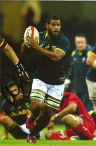 SOUTH AFRICA & WASPS RUGBY UNION: NIZAAM CARR SIGNED 6x4 ACTION PHOTO+COA - Picture 1 of 1