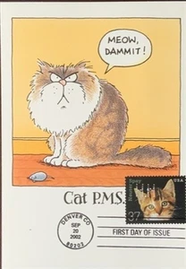 HNLP Hideaki Nakano Tarjeta de Felicitación Esterilización Castrado 3670 Gato Maullido D****It - Imagen 1 de 2