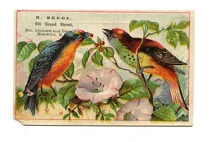 Victorian Trade Card R BEGGS TEAS & COFFEES Brooklyn NYC - Picture 1 of 2