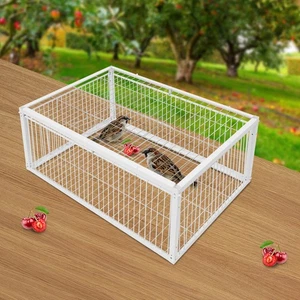 4 Holes Iron Quail Feeder Pigeon Dove Bird Outside Of Cage with One-Way Entry - Picture 1 of 19