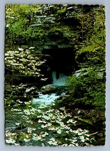 Postcard Vintage Blanchard Springs Ozark National Forest Arkansas Nature 4x6 - Picture 1 of 2
